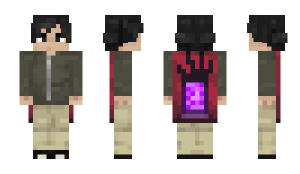 Minecraft skin expensave