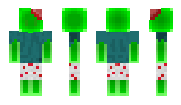 Minecraft skin Baumii