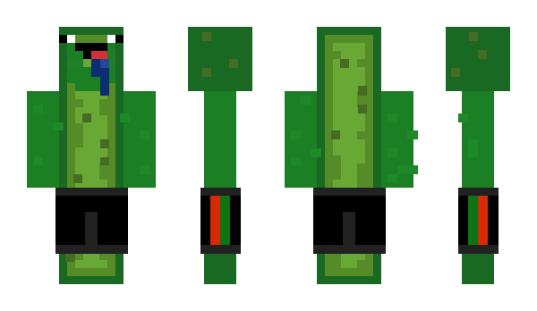 Minecraft skin Flexify