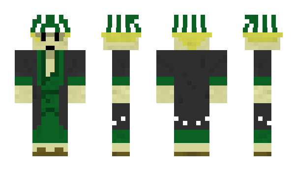 Minecraft skin Agnoor