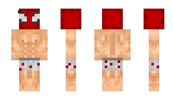 Minecraft skin ChuckNorr