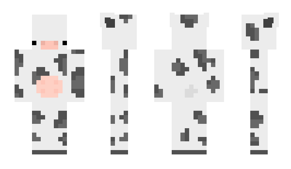 Minecraft skin 8462