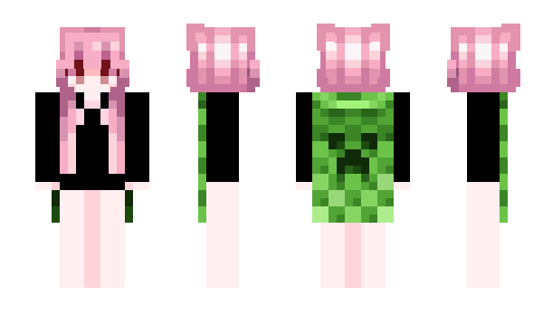 Minecraft skin Evic