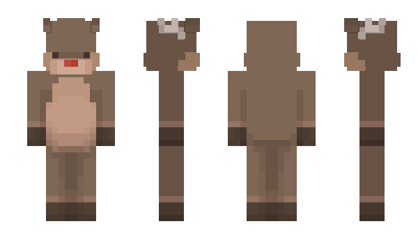 Minecraft skin LoginDaten