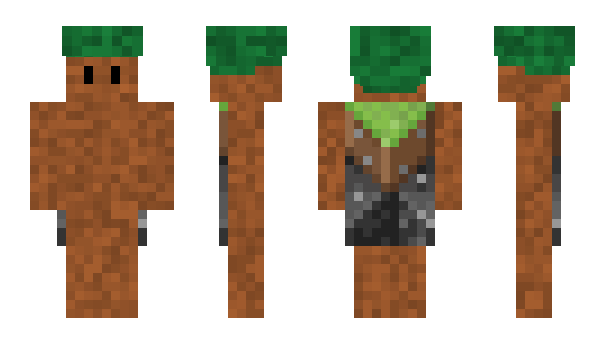 Minecraft skin Park_Jandi