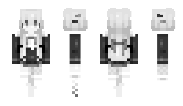 Minecraft skin AXWN