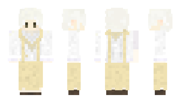 Minecraft skin in_an