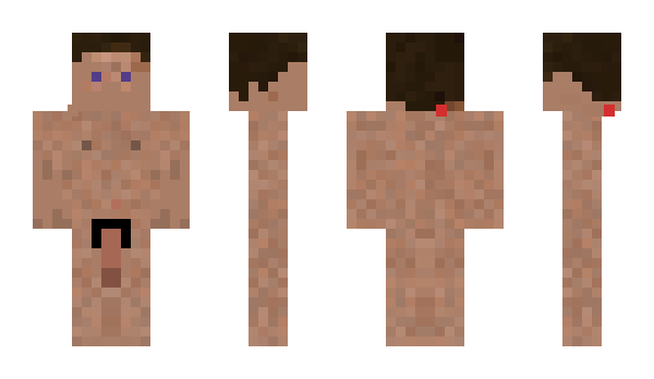 Minecraft skin 691