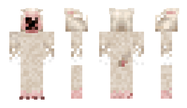 Minecraft skin drtu