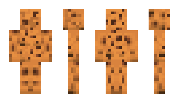 Minecraft skin Plafondt