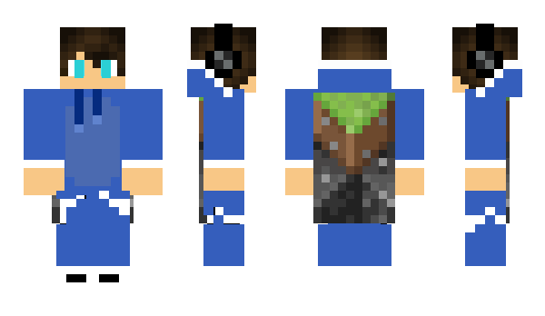 Minecraft skin Pok3m1k