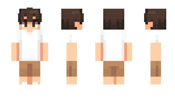 Minecraft skin Braderz