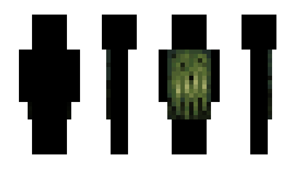Minecraft скин по нику chena5