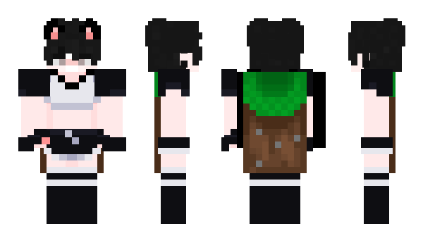 Minecraft skin archivedswag