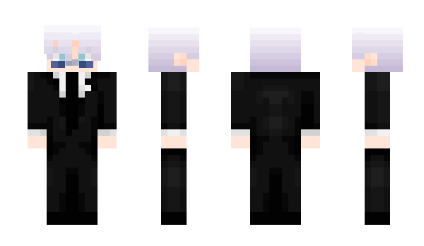 Minecraft skin RACOONOS