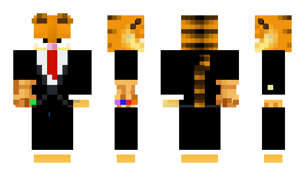 Minecraft skin fhani