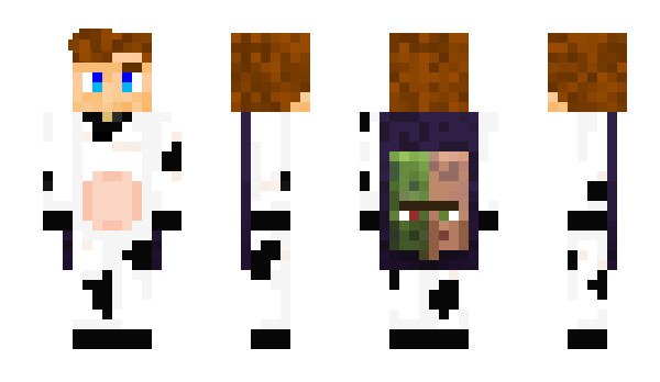 Minecraft skin Aceicle