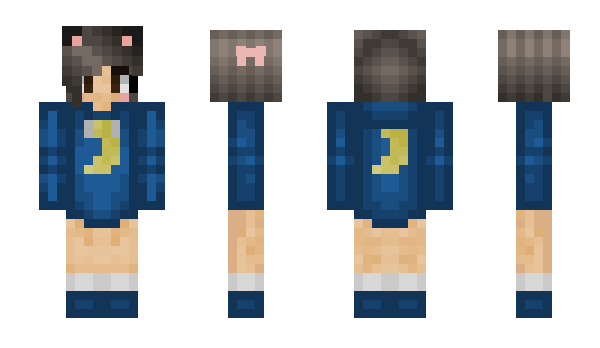 Minecraft skin Mestem