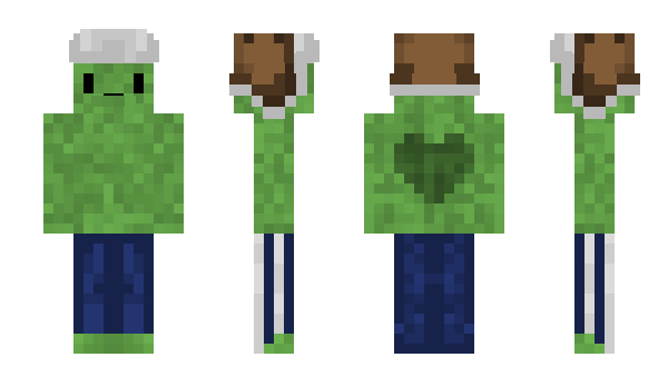 Minecraft skin Barfton