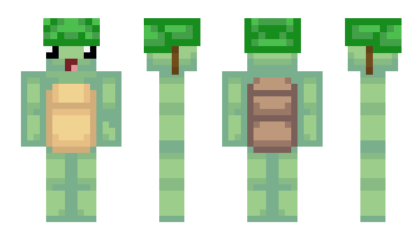 Minecraft skin fipurtle