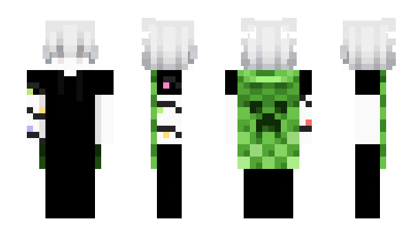 Minecraft skin ogsliwa