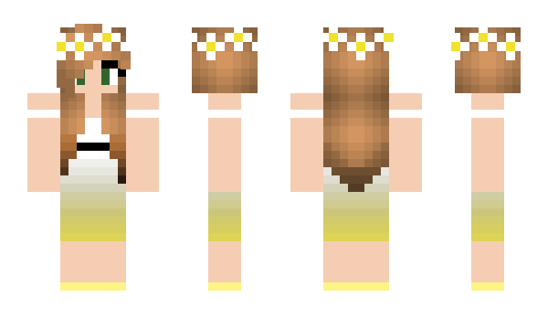 Minecraft skin Heel