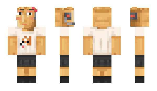 Minecraft скин по нику sukba