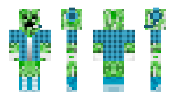 Minecraft skin zensouza