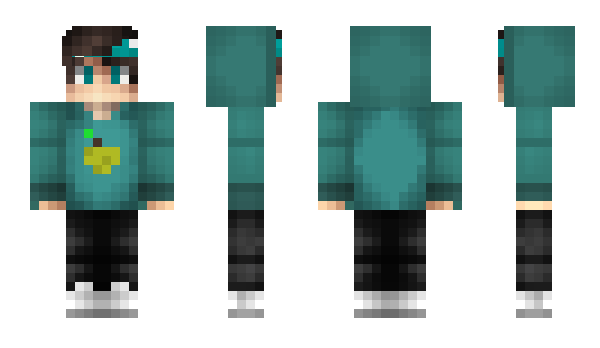 Minecraft skin salkinobus