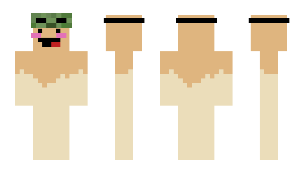 Minecraft skin Protogens