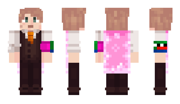 Minecraft skin Toster09