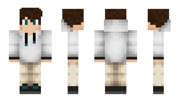 Minecraft skin Igris_