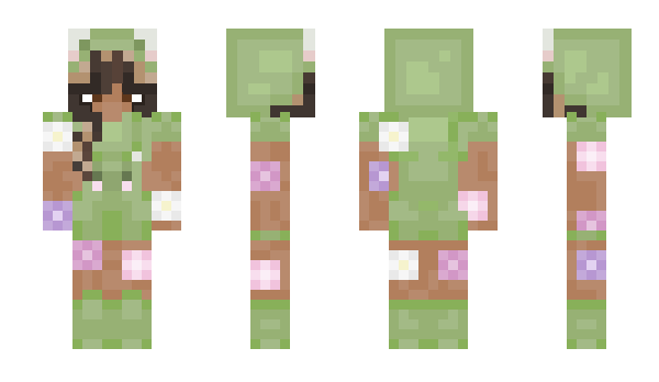 Minecraft skin sristi