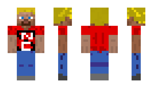 Minecraft skin LSTV