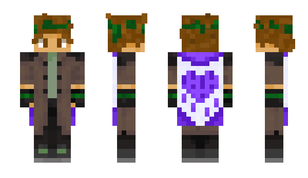 Minecraft skin geoteea