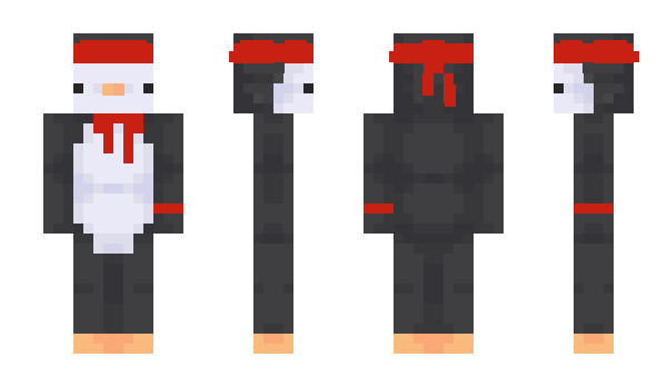 Minecraft skin pygd