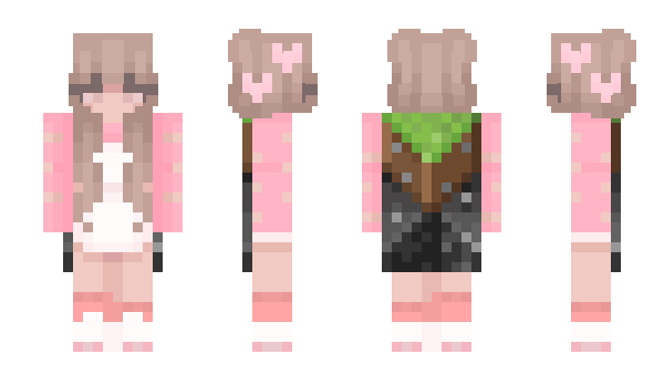 Minecraft skin Ame2234