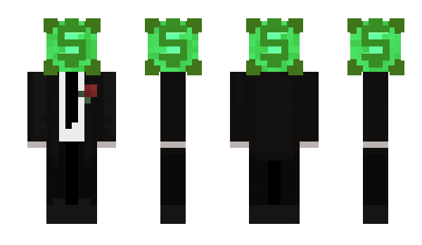 Minecraft skin SalV1