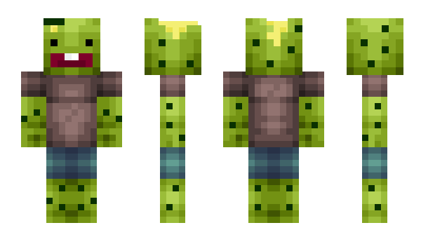 Minecraft skin Oversight