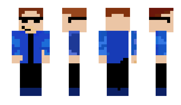 Minecraft skin pat448