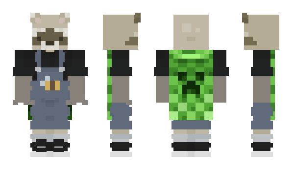 Minecraft skin wybren