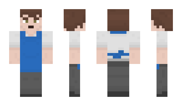 Minecraft skin tescoman