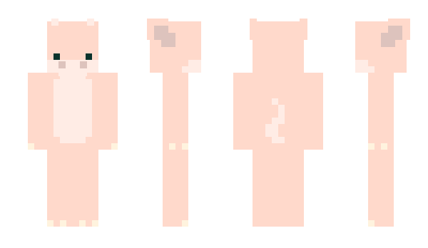 Minecraft skin racoodles