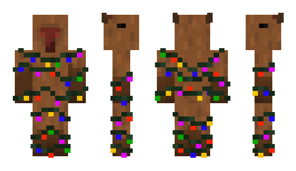 Minecraft skin CAPTBARA