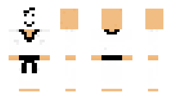 Minecraft skin blaziken123