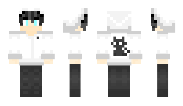 Minecraft skin LunaTV