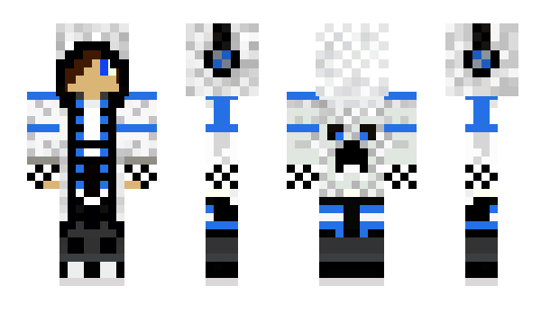 Minecraft skin DQP