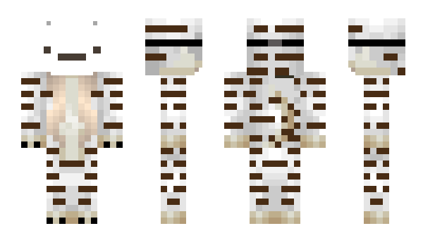Minecraft skin X5LoLo53e