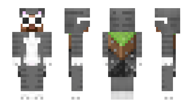 Minecraft skin parswag