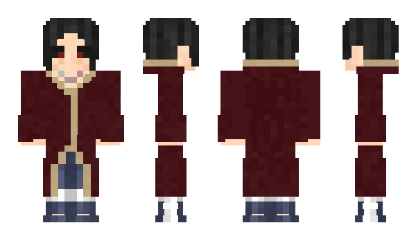 Minecraft skin DenizG